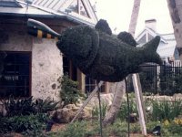 photos 2000-200900140